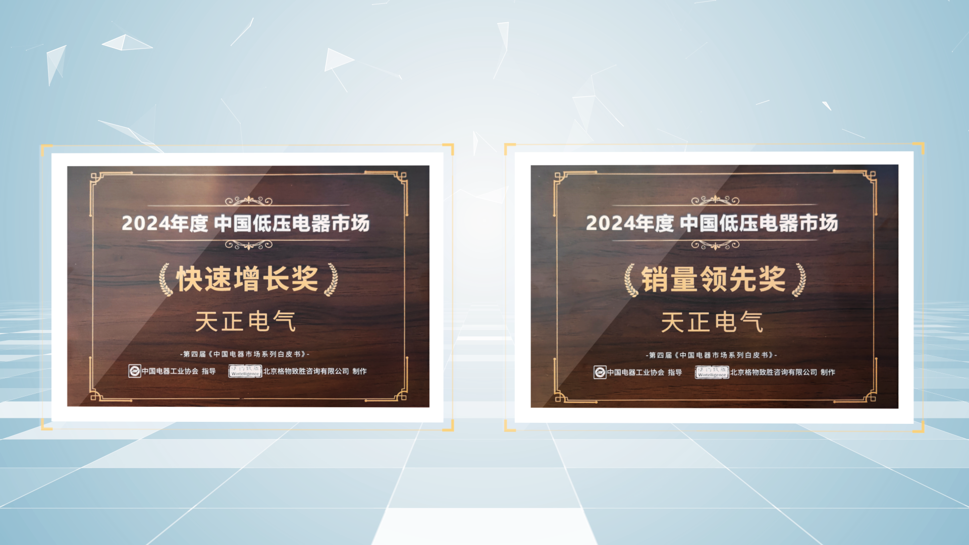 銷量領(lǐng)先、快速增長丨天正榮膺2項(xiàng)行業(yè)年度大獎(jiǎng)
